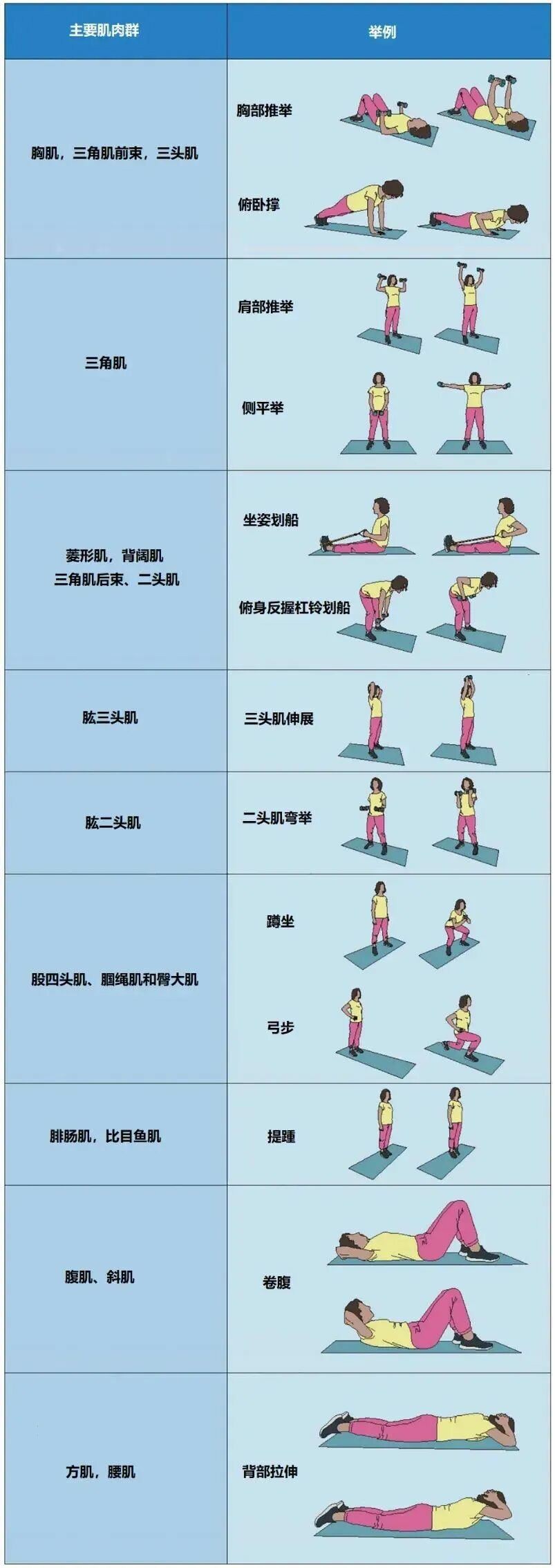 焦点平台官方：每周2次这类运动，有助于改善心血管功能